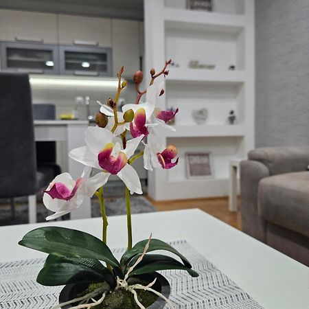 Apartman Vukota Пирот Экстерьер фото