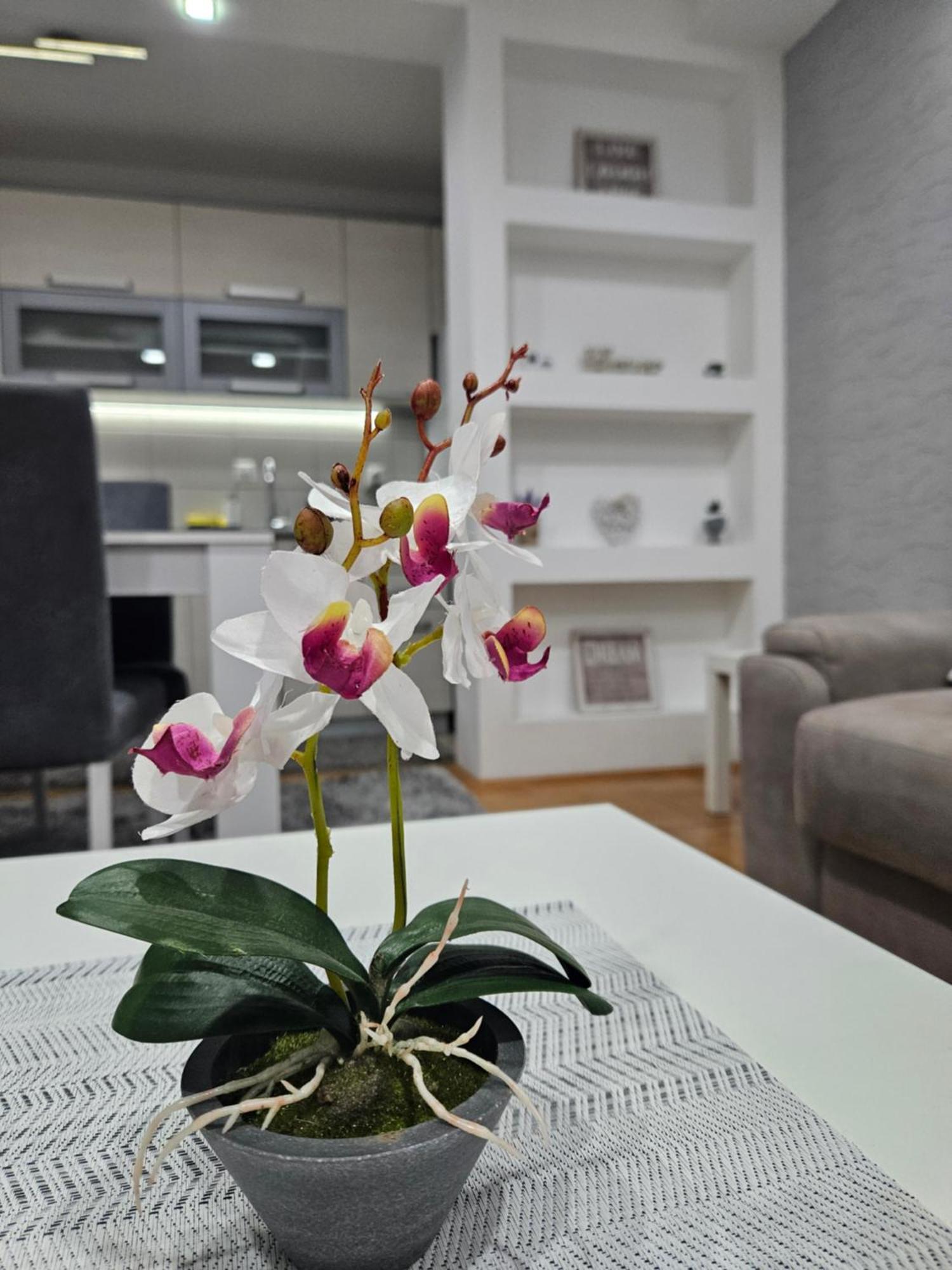 Apartman Vukota Пирот Экстерьер фото
